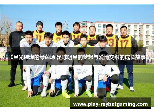 《星光璀璨的绿茵场 足球明星的梦想与爱情交织的成长故事》